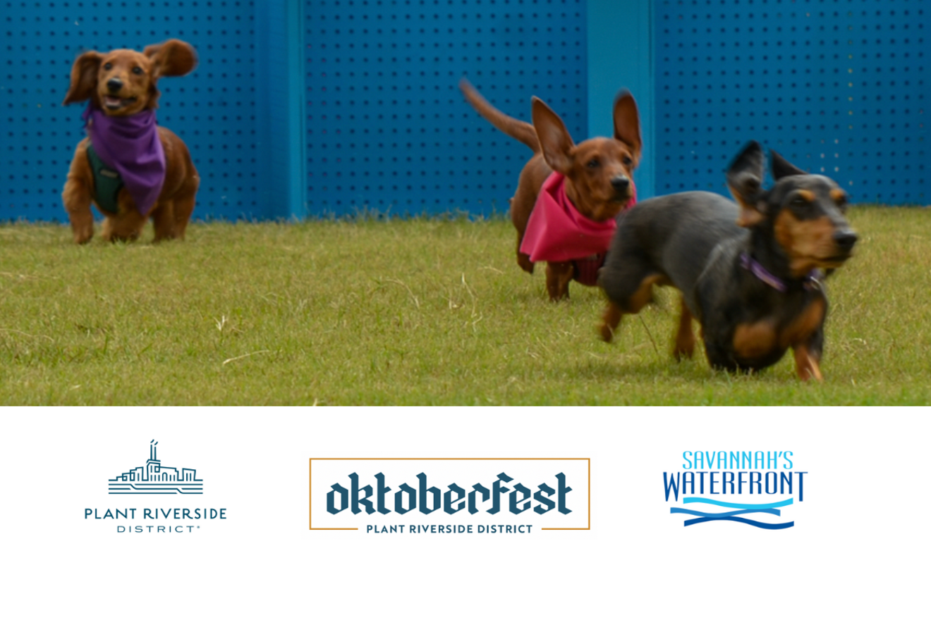 2023 Savannah Wiener Dog Races