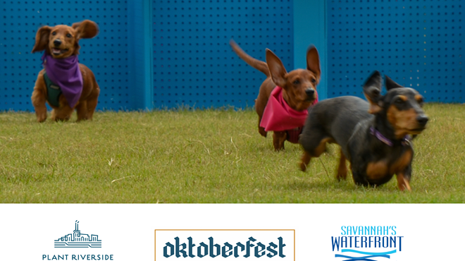 Image: 2023 Savannah Wiener Dog Races