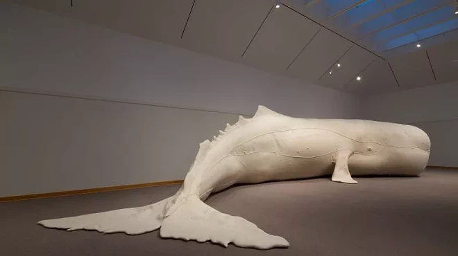 Image: A whale of an exhibition