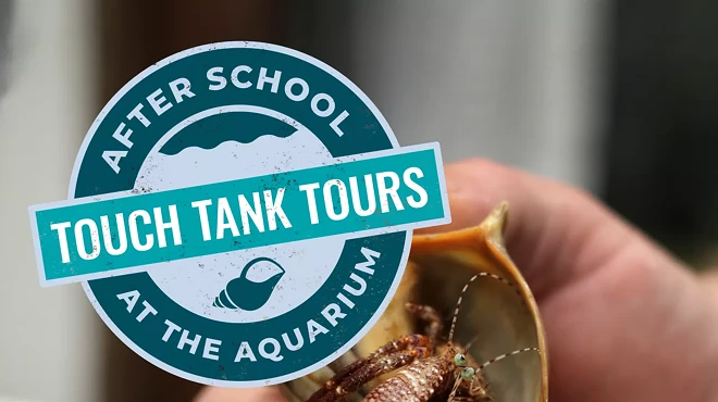 Image: After School at the Aquarium: Touch Tank Tour