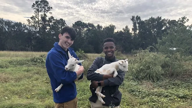 Image: Back to the farm