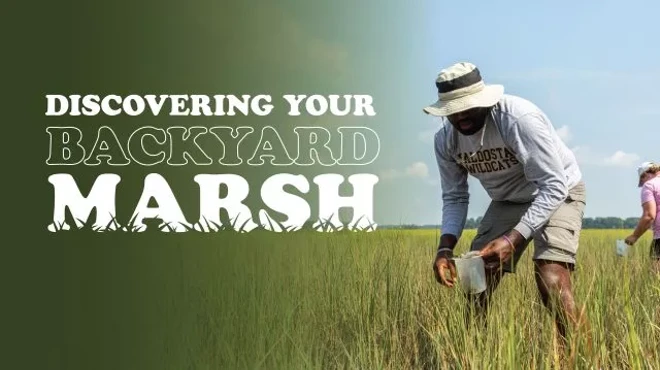 Image: Discovering Your Backyard Marsh
