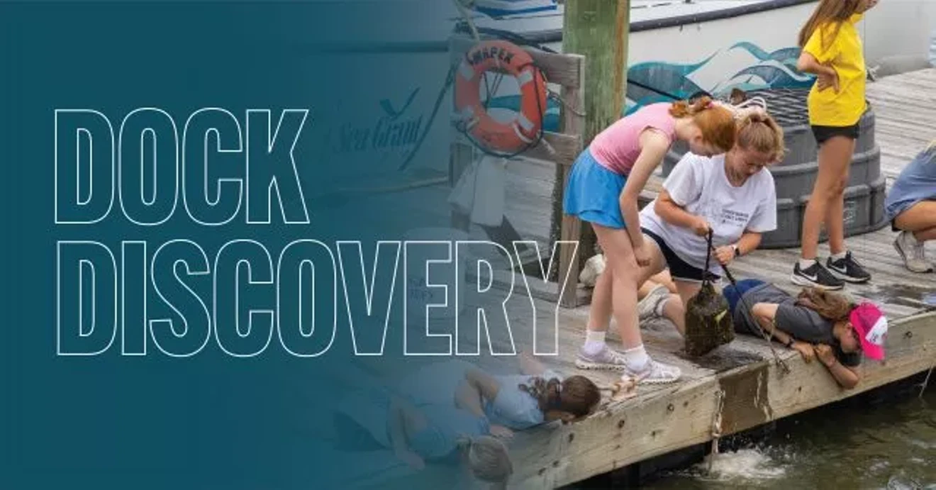 dock-discovery-fb-2-640x335.webp
