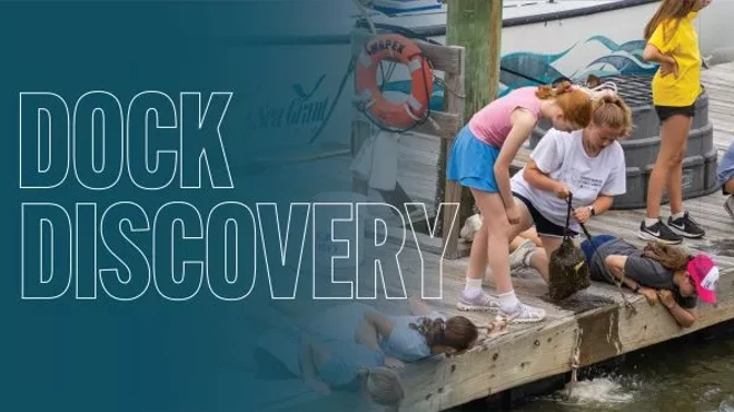 Image: Dock Discovery