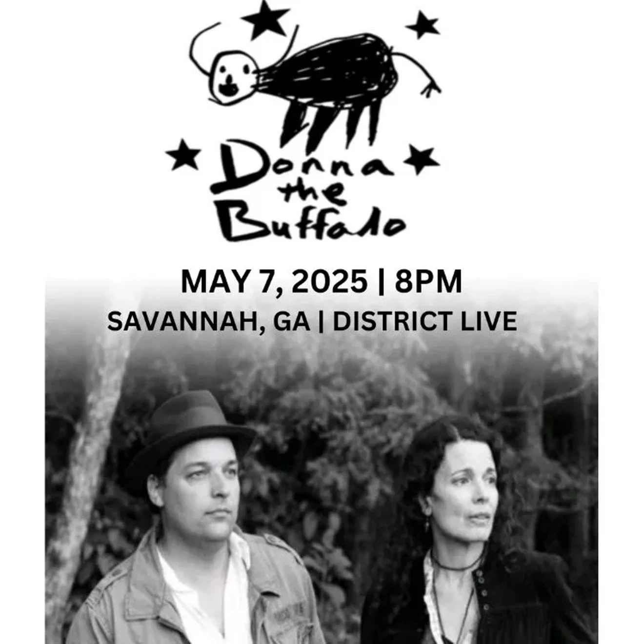 donna_the_buffalo.webp
