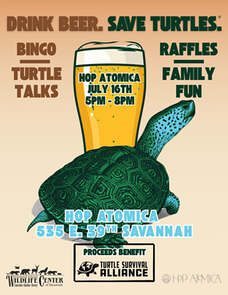 Image: Drink Beer. Save Turtles