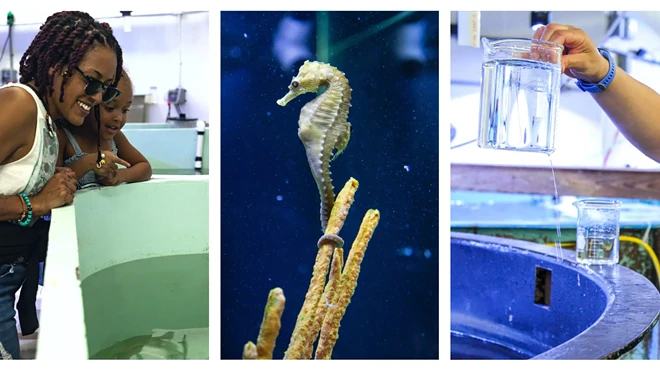 Image: Early Morning Behind-the-Scenes Aquarium Tour