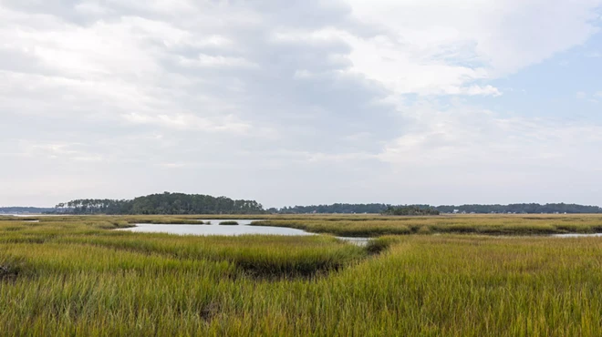 Image: Finding Meaning in the Marsh: History