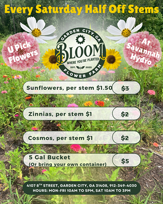 Image: Half Price Stems Every Saturday at Bloom (Where You're Planted) You-Pick Flower Farm