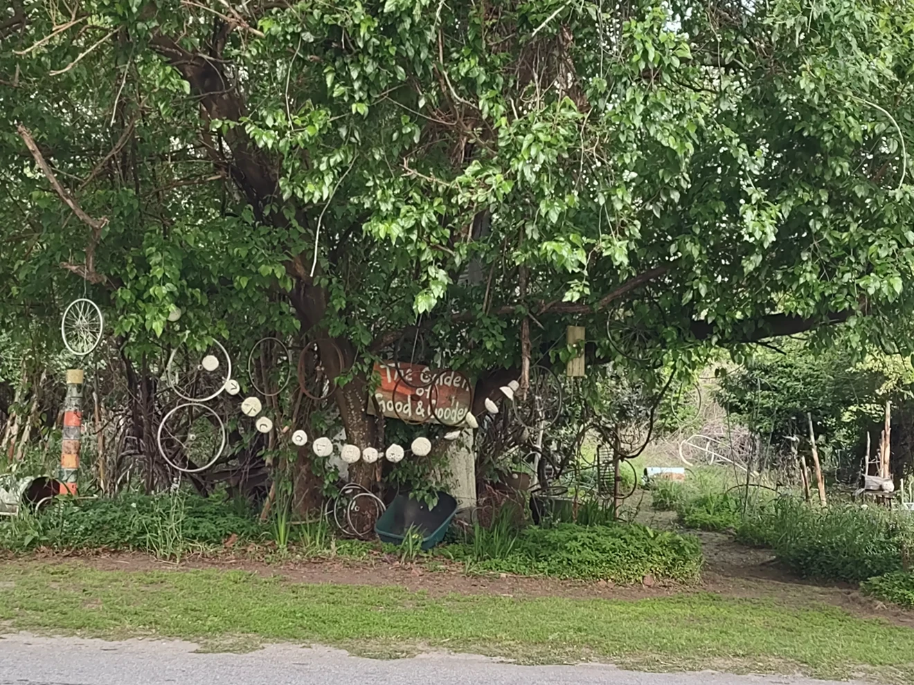 garden_20240401.webp