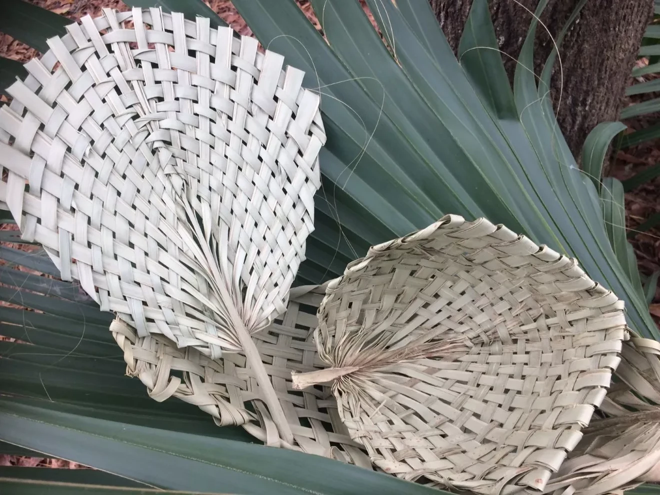 thumbnail_img_2929.webp