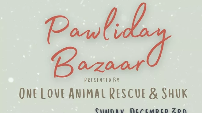 Image: Pawliday Bazaar