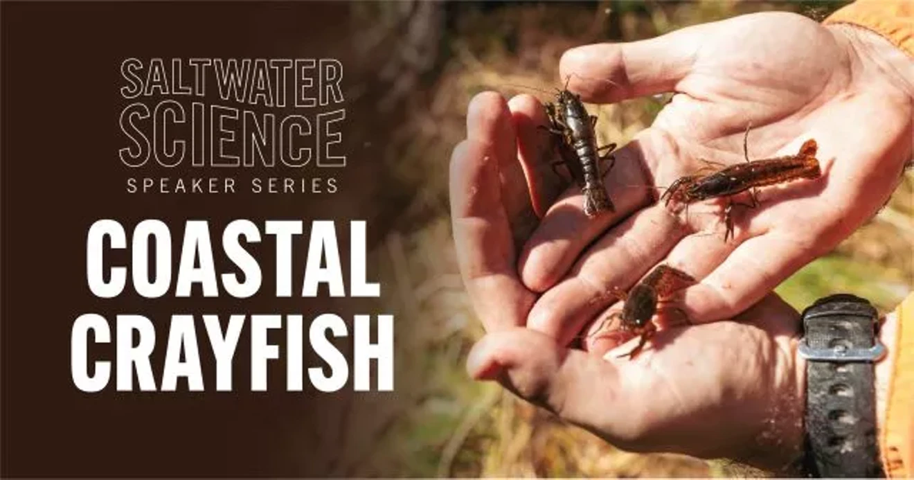 saltwater-science-crayfish_fb-640x336.webp