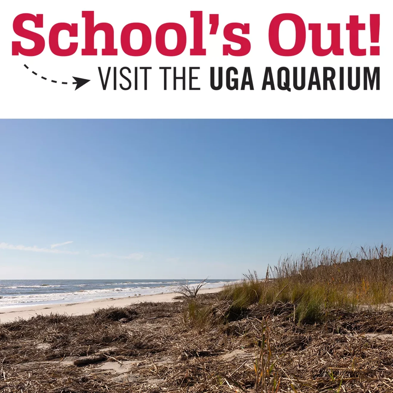 schoolsout-barrier2.webp