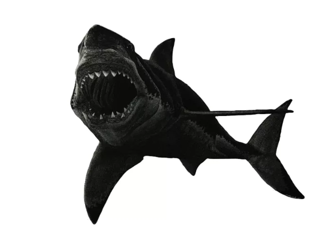 dsbbbwkc4eijlfcsxb0mlw.large.webp