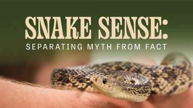 Image: Snake Sense: Separating Myth from Fact