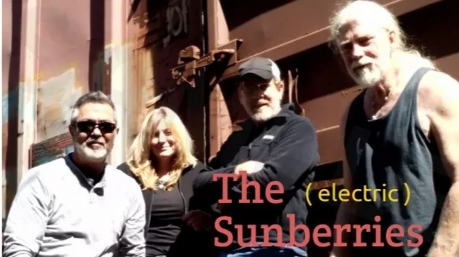 Image: The Electric Sunberries at Molly Maguires Live
