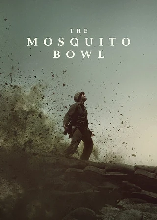 Image: The Mosquito Bowl