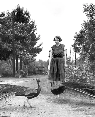 Image: The Nature of Education in Flannery O'Connor with Dr Bernadette Guthrie