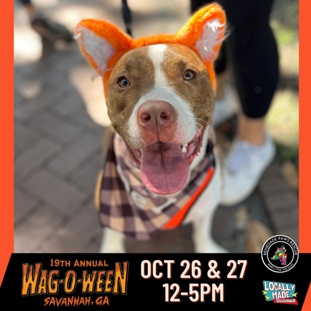 Wag-O-Ween 2024