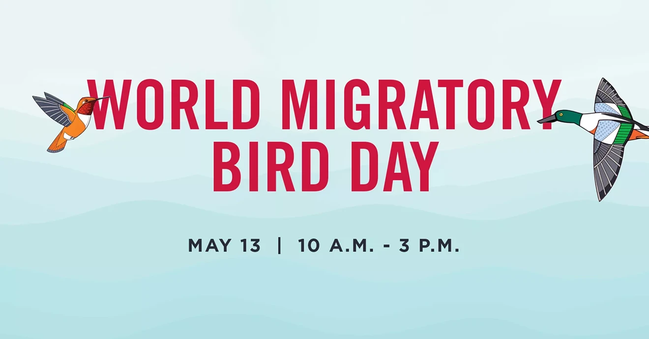 migratory-bird-day-fbookcover.webp