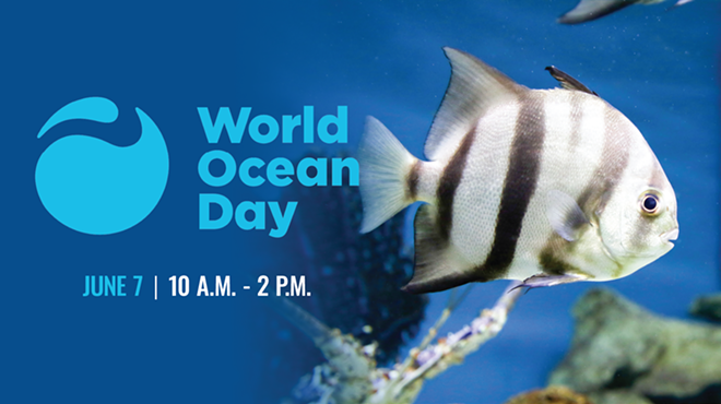 Image: World Ocean Day